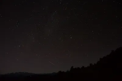 DSC_1112 (Large).JPG